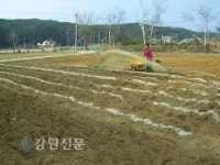 동해시농업기술센터, 지역특화작목 육성