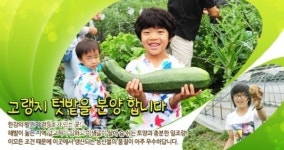 태백 한강발원지 고랭지 텃밭 주말농장 운영