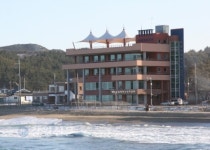 강원대 삼척캠퍼스 해양스포츠 배우기 과정 운영