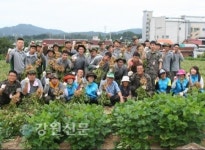 춘천보훈청․36사단, 참전유공자 일손돕기 나서