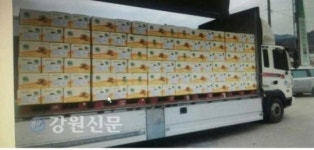 울퉁불퉁 강원도 감자! 현대家로 시집가다