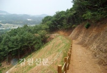 춘천시, 금병산 실레이야기길 정비한다
