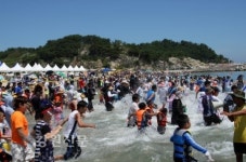 고성 백도해변 가리비 잡이 축제