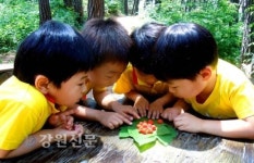 산림청, 유아숲체험원 등록기준 완화