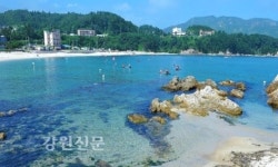 삼척시, 장호 국민여가 캠핑장 공모사업 선정