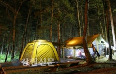동해 무릉계곡 힐링캠프장, 힐링명소로 발돋움