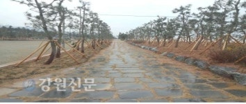 동해시, ´힐링 길´시설물 정비한다