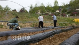 법무보호강원지부, 밀알재활원 봉사활동