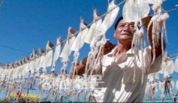 2015 묵호항 싱싱수산물 축제 내달 12일 개막