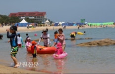 주말 강원고성 송지호 해변 이색