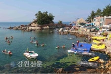 2015 장호어촌체험마을 여름 페스티벌 개막