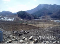 홍천 광원리 일원 밭기반정비사업 추진