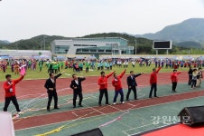제37회 평창읍민체육대회 성황