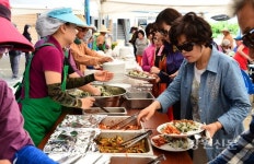 봄향기 가득한 평창 대하리 곤드레 축제 놀러오세요