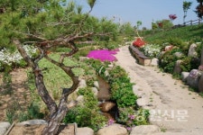 속초 설악산자생식물원, 힐링장소로 각광