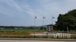 박월마을, 강릉 관문 칠성로변 가꾸기 운동 펼쳐