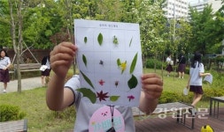 산림청, 2016년 명상숲 우수사례 6개교 선정