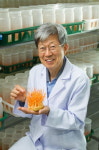 횡성 머쉬택 성재모 연구소장, 산자부장관 표창