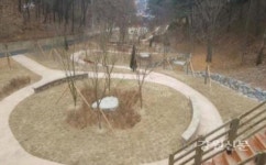 홍천 옛 활터…녹색나눔 숲으로 재탄생