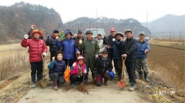 정선 임계면 용산1리, 사과 꽃길 눈길