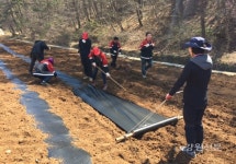 삼척국유림, 산촌생태마을 가꾸기 행사 실시
