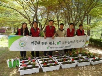 솔밭(오대산성모요양원) | aT강원본부, 깨끗한 농업·농촌 만들기 행사