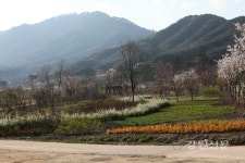 산림청, 국립백두대간수목원에서 늦은 봄꽃놀이 하세요