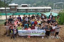 태백 삼성초, 내 가족 사랑 나무 심기 행사