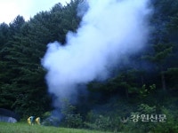 홍천국유림, 소나무재선충병 지상방제 본격추진