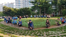 원주 단계동, 꽃길 조성사업