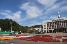 평창서, 경찰서 주차장 농산물 건조장 개방