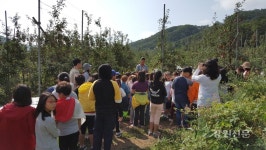 화천군, 특별한 산골사과 시식회
