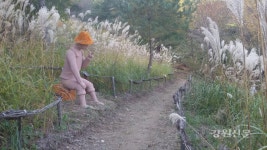 태백시, 정겨운 둘레길 황부자 며느리 친정가는 길