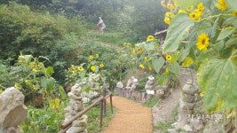 태백시, 정겨운 둘레길 황부자 며느리 친정가는 길