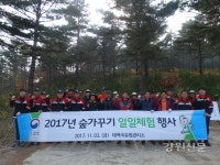 태백국유림,  숲가꾸기 1일 체험행사