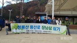 평창 대화면, 산소길 산양삼심기 행사