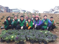 원주 무실동 새마을회, 겨울꽃 식재