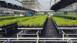 동부산림청, 16억원 투자 묘목생산 기반시설 확대