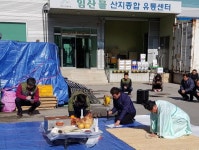 정선군산림조합, 안전기원제 봉행