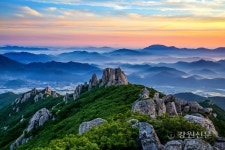 산림청, 3월의 국유림 명품숲 천관산 동백숲 선정