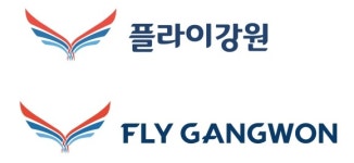 플라이양양 사명 플라이강원 으로 변경