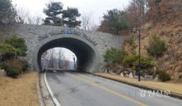 원주환경청, 민간-기업 협업 멸종위기종 서식지 복원사업 추진