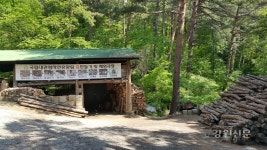 대관령자연휴양림 숯가마 체험교실 진행