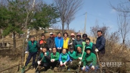 태백 황지동, 며느리 친정 가는 길 진달래 동산 조성
