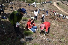 동부산림청-(주)트리플레닛, 산불피해지 복구 나무심기