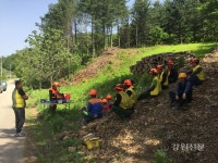 홍천국유림, 산림사업장 현장안전교육 실시