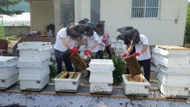평창 미탄중, 양봉동아리 운영...수익금 장학금 지급