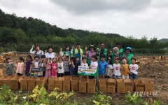 원주시 명륜1동 새마을회, 주말농장 감자수확