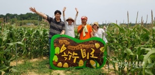 강릉시, 작지만 강한 강소농 찰옥수수 미로체험장