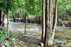 평창 계방산오토캠핑장 여름맞이 개장